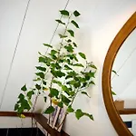 Pri Stefacovih - Authentic House *