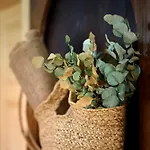 Pri Stefacovih - Authentic House * Grahovo