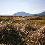 Pri Stefacovih - Authentic House *