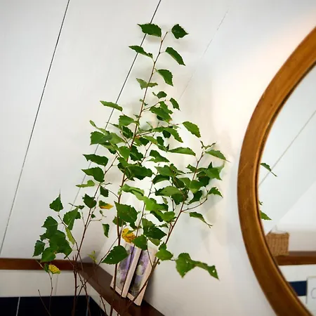 Pri Stefacovih - Authentic House *