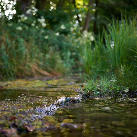 Casa vacanze Pri Stefacovih - Authentic House Grahovo