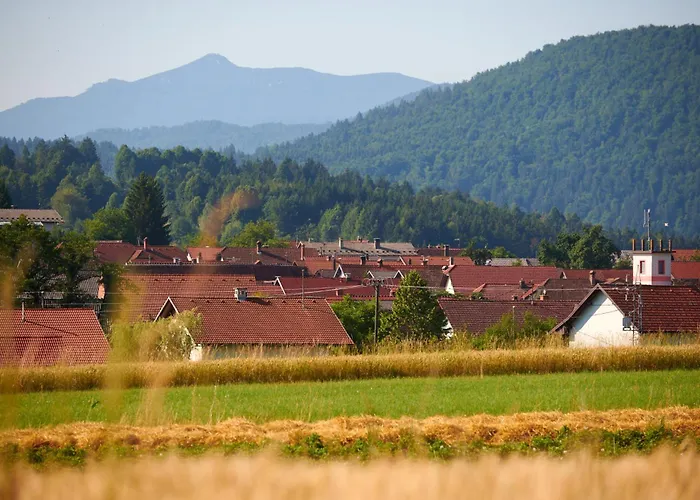 度假居 Pri Stefacovih - Authentic House Grahovo