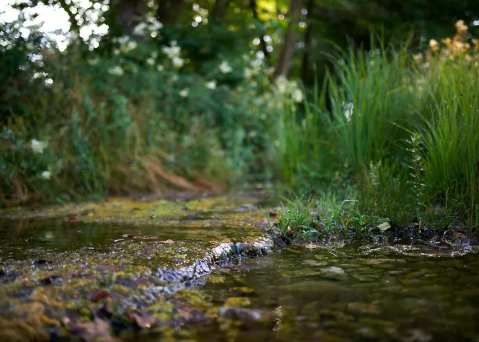 Vakantiehuis Pri Stefacovih - Authentic House Grahovo