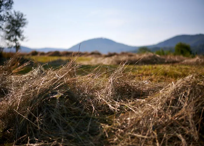 Pri Stefacovih - Authentic House *